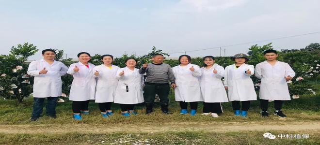 泰靓——杀螨防病果漂亮！