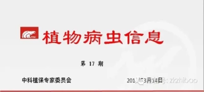 抓好早春柑桔园病虫害防治
