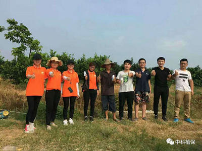 柑橘杀螨剂药效影响因素生测试验