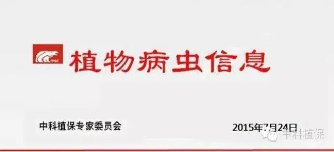 认真抓好中稻、一季稻病虫害防治工作