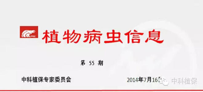 抓好当前一季稻、晚稻“两迁”害虫等主要病虫害防治