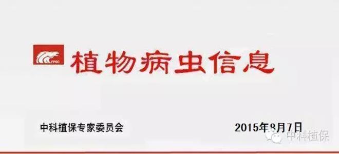抓好夏玉米中后期田间管理和病虫害防治工作