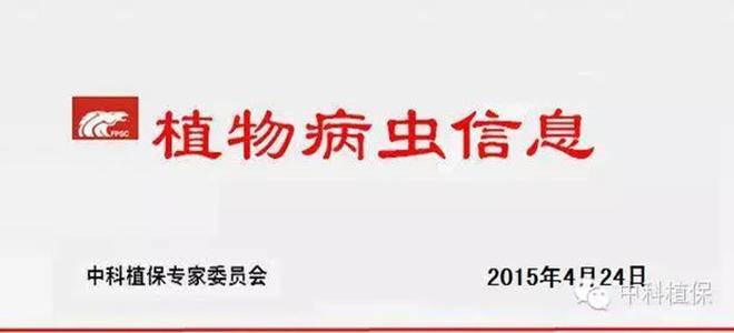 【病虫信息】要想小麦长得好，请用中科小麦三宝