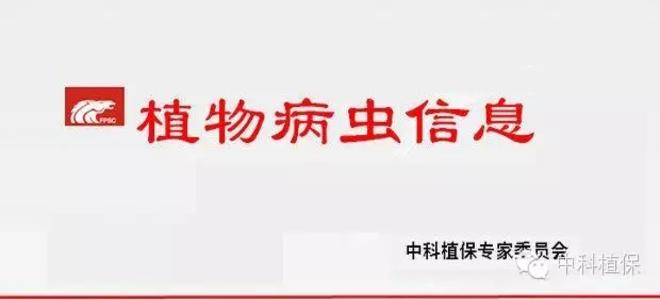 小麦、油菜病虫发生动态和发展趋势