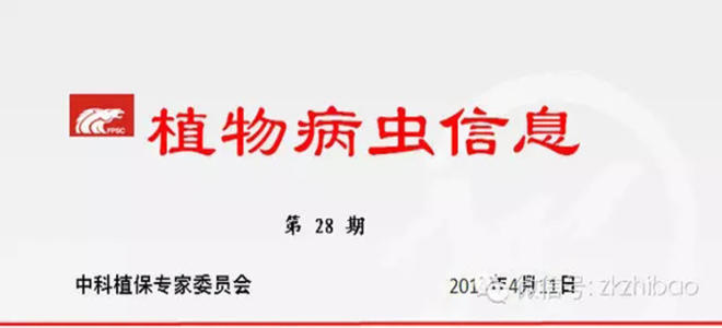 南方稻区应及时抓好水稻播栽期病虫害防治
