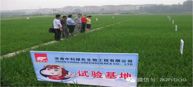 【知识之窗】常见杀虫杀菌剂对哪些作物敏感