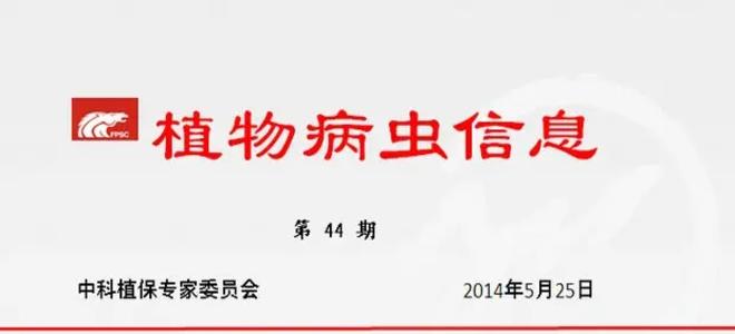 【植保信息】加强对多雨洪涝天气条件下水稻细菌性褐条病的防治