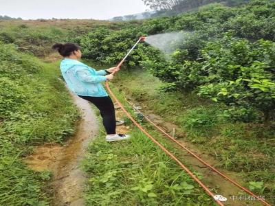 华南销售公司营销实践活动如火如荼进行中，给市场注入新活力！