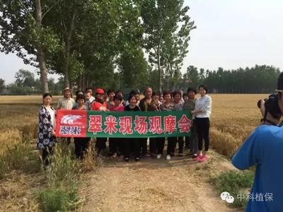 华北销售公司营销实践活动如火如荼进行中，争分夺秒完成公司下发的任务！