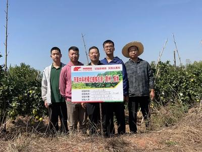 实验探精微 实践出真知 柑橘红蜘蛛三期生测试验开始啦！