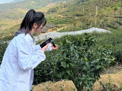 市场美丽身影