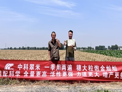 炎炎夏日，盛夏六月—致敬市场美丽身影
