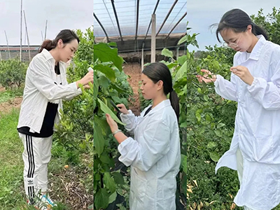 “稳中求进、砥砺前行”——四月中科最美身影