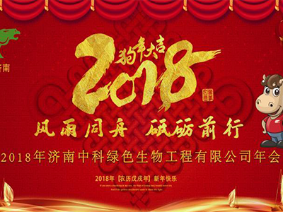 济南中科2017总结暨2018迎新年会